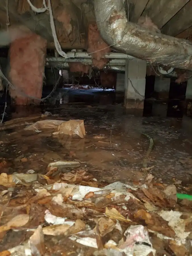 Crawl space flood assessment for Leak Detection & Repair in Boiling Spring Lakes